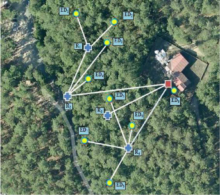 PROPAGATION ANALYSIS AND DEPLOYMENT OF A WIRELESS SENSOR NETWORK IN A FOREST