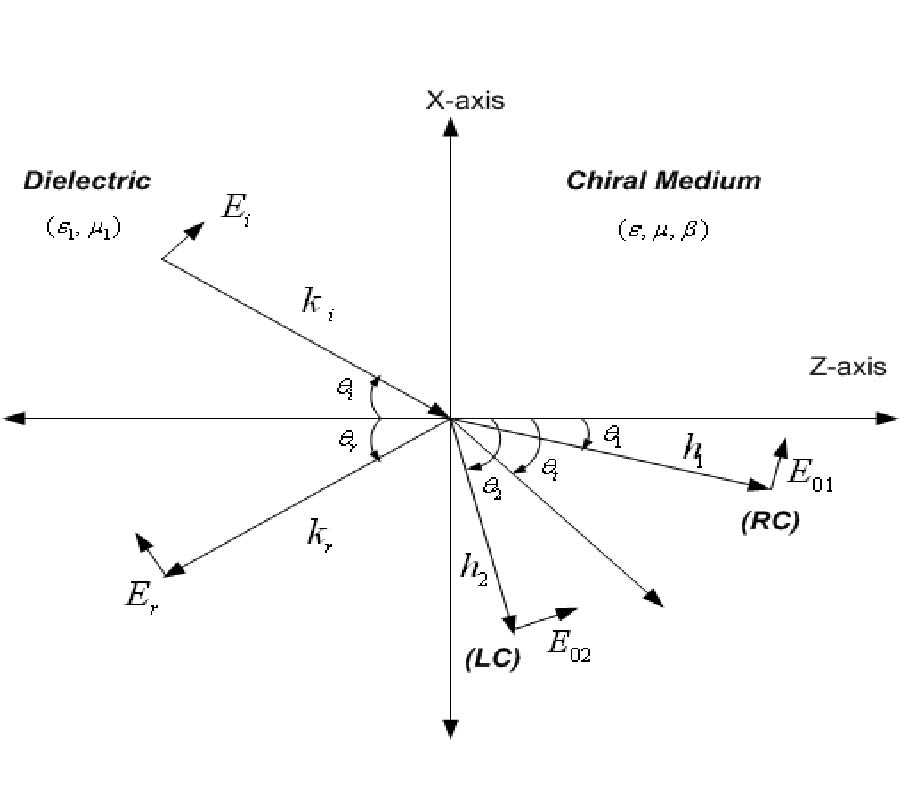 ANALYSIS OF THE FIELD FOCUSED BY HYPERBOLIC LENS EMBEDDED IN CHIRAL MEDIUM