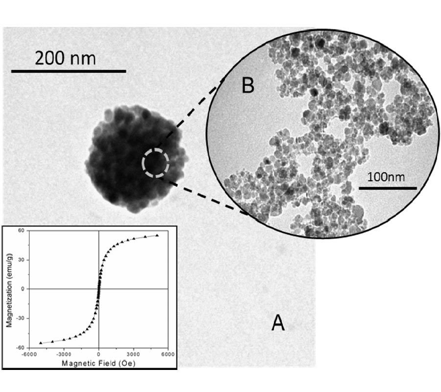 IMPROVED THERMAL ABLATION EFFICACY USING MAGNETIC NANOPARTICLES: A STUDY IN TUMOR PHANTOMS