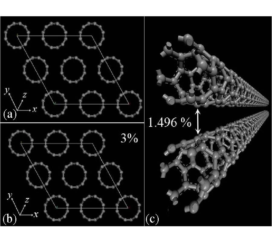 USE OF ALIGNED CARBON NANOTUBES AS ELECTRIC FIELD SENSORS