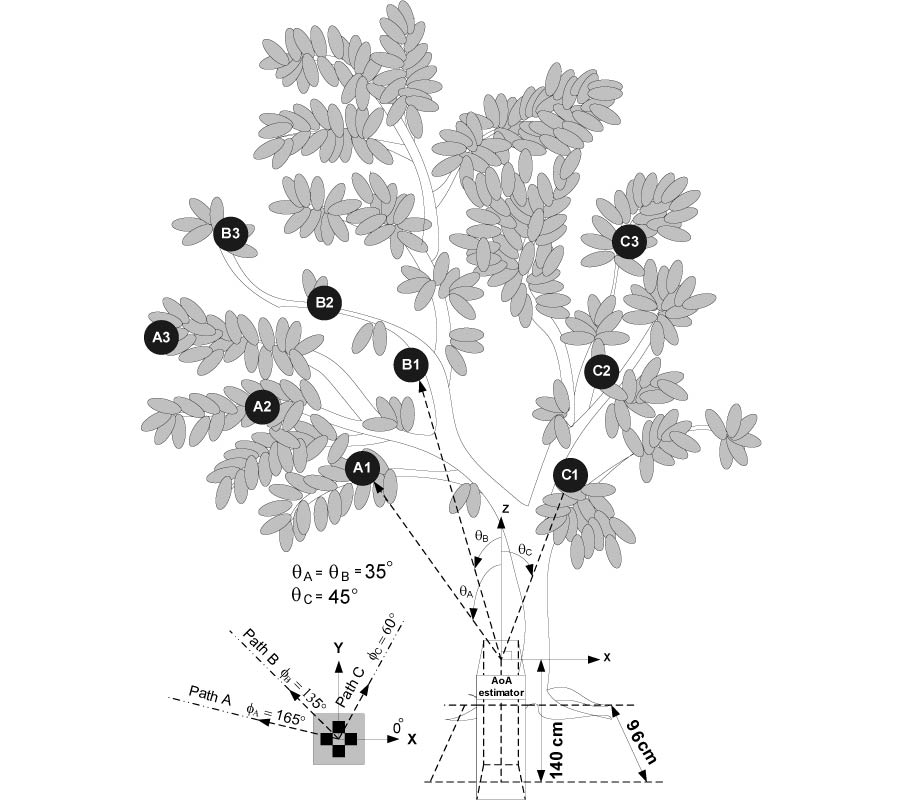 WIRELESS COMMUNICATIONS IN A TREE CANOPY