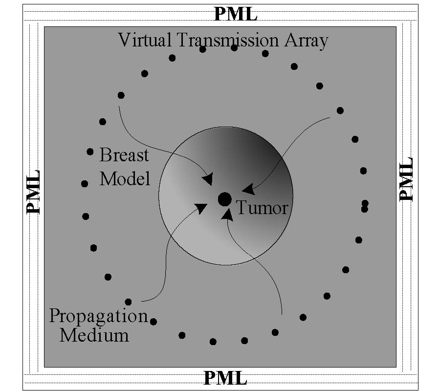 AN INTEGRATED SIMULATION APPROACH AND EXPERIMENTAL RESEARCH ON MICROWAVE INDUCED THERMO-ACOUSTIC TOMOGRAPHY SYSTEM