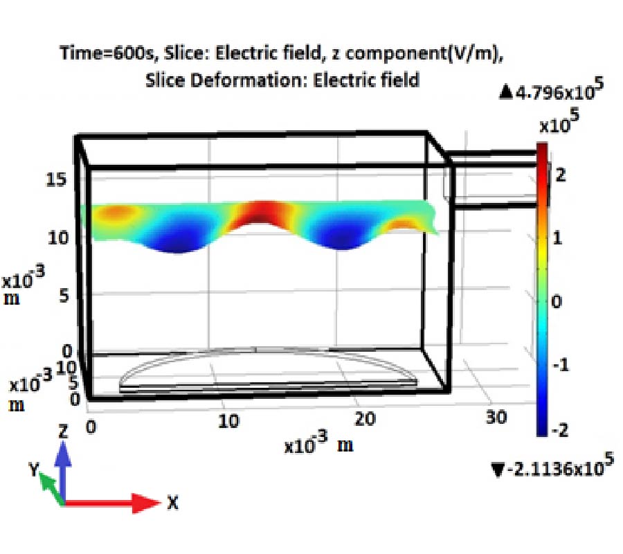 MULTIPHYSICS MODEL OF IRON POWDER COMPACTS FOR EFFICIENT MICROWAVE PROCESSING