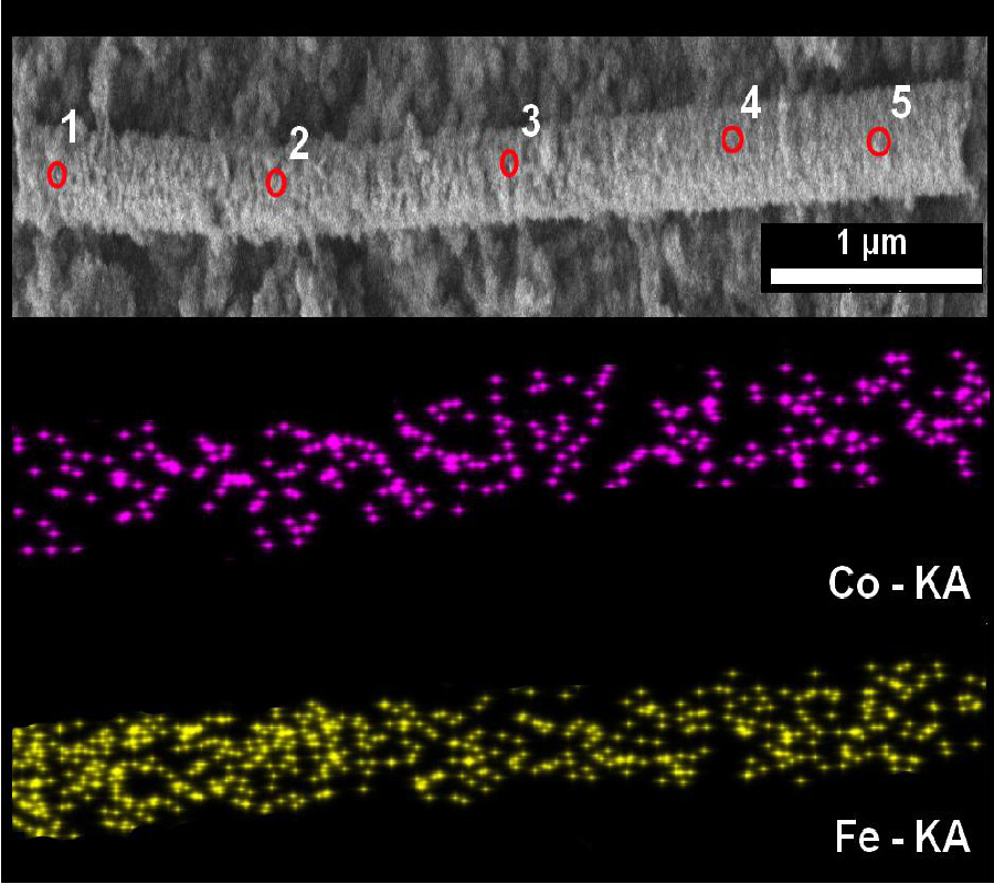 STRUCTURAL AND MAGNETIC STUDIES OF FE100-x COx NANOTUBES OBTAINED BY TEMPLATE METHOD