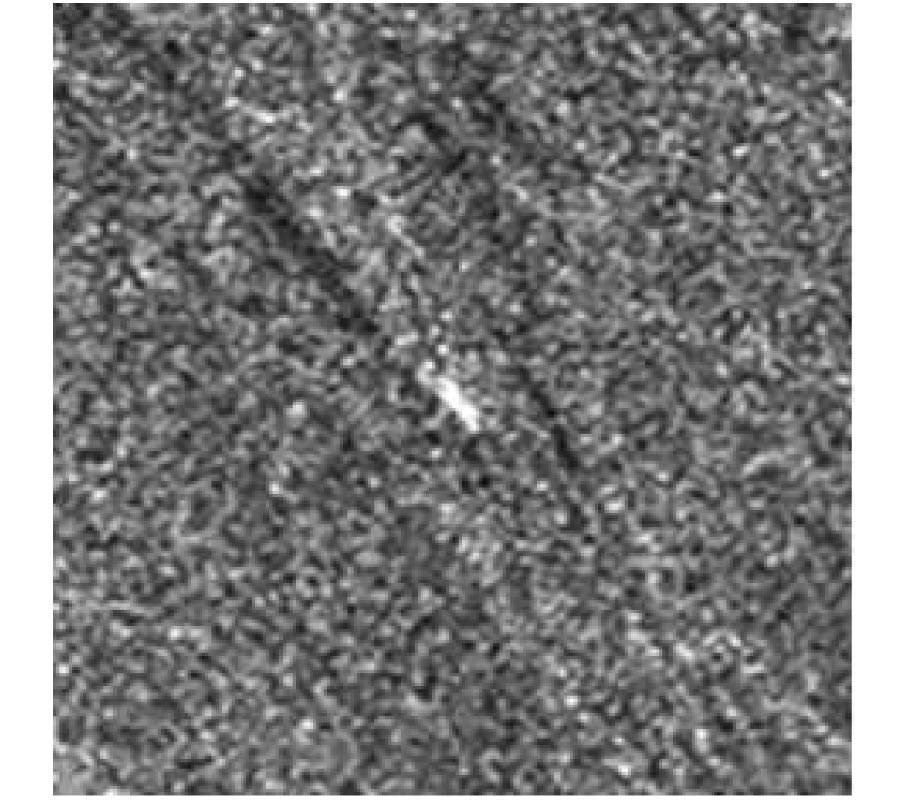 TOPOLOGICAL OPTIMIZATION METHOD FOR SHIP DETECTION IN SAR IMAGES
