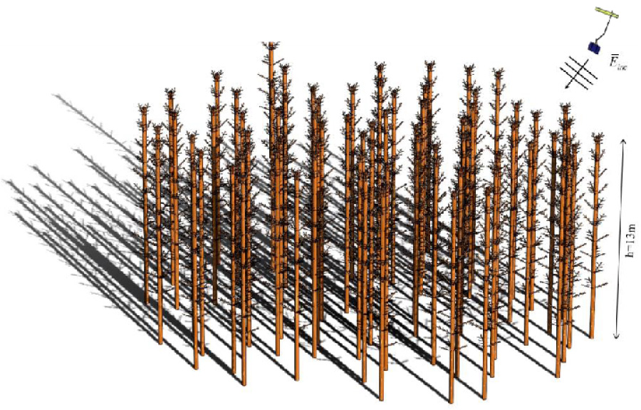 Full-wave Electromagnetic Simulations of Forests at L-band by Using Fast Hybrid Method
