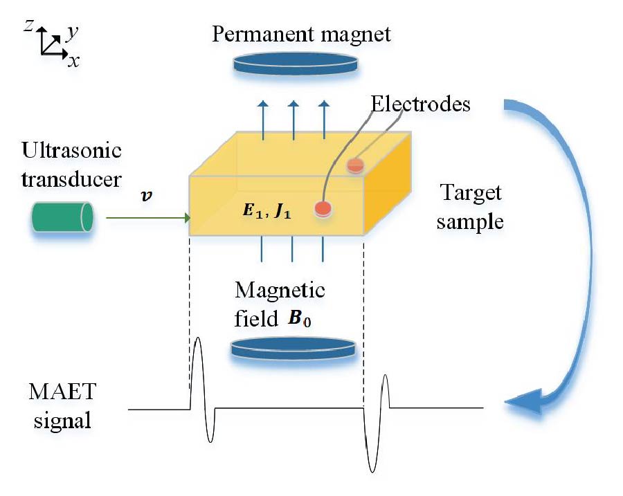 Magneto-Acousto-Electrical Tomography Based on Synthetic Aperture with Inhomogeneous Static Magnetic Field