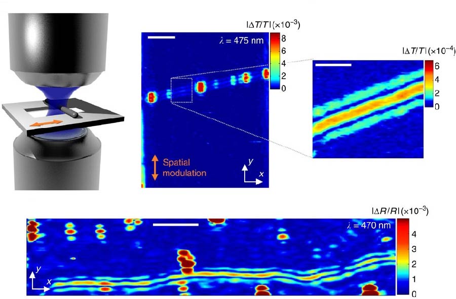 Impact of Quantum Conductivity on a Reconfigurable Single Wall Carbon Nanotube Dipole  Performance at Optical Frequency Bands